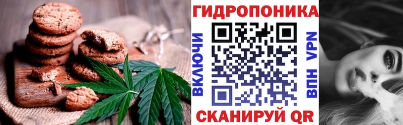 купить наркоту  Гусев  это наркотические препараты  Еда ТГК марихуана  OMG  