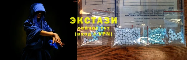 стаф Белокуриха