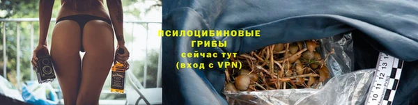 эйфоретик Белоозёрский