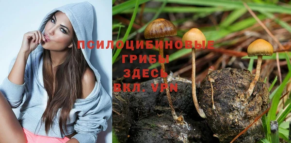стаф Белокуриха