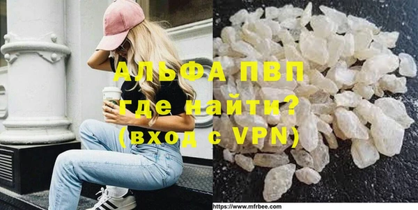 стаф Белокуриха