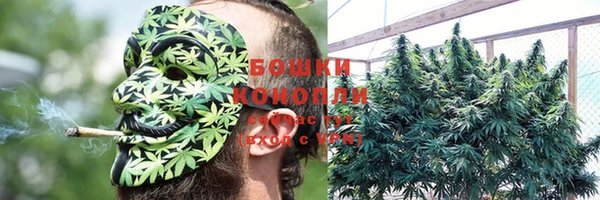 эйфоретик Белоозёрский