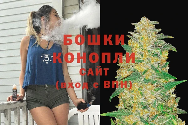 стаф Белокуриха