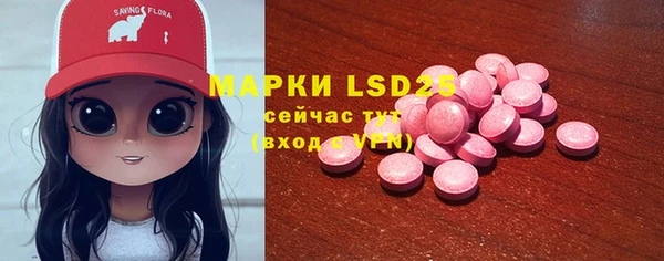 стаф Белокуриха