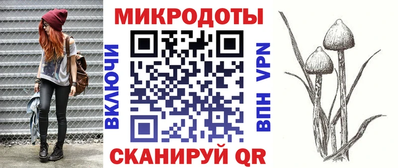 где купить наркоту  Гусев  Псилоцибиновые грибы Psilocybine cubensis 
