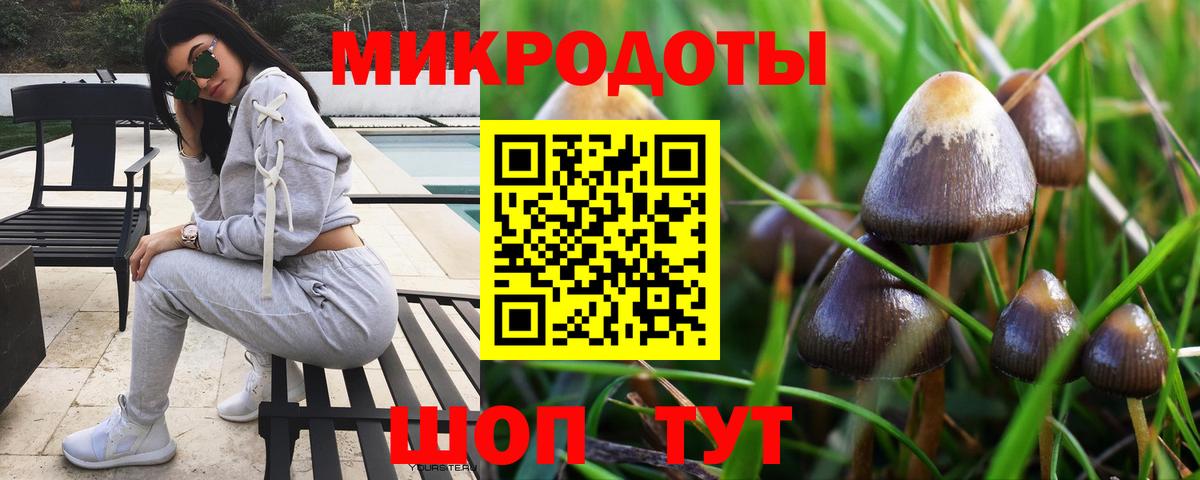 Гусев  Псилоцибиновые грибы Magic Shrooms  Вход с VPN 
