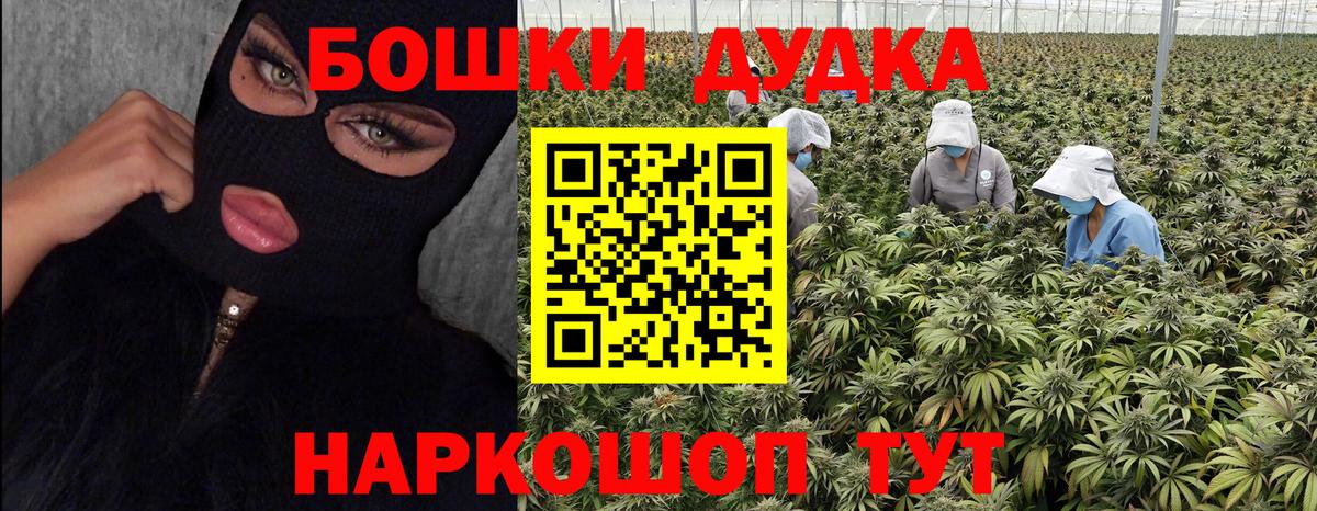 Канабис MAZAR  Бошки марихуана THC 21%  Вход с VPN  Гусев  Марихуана планчик 