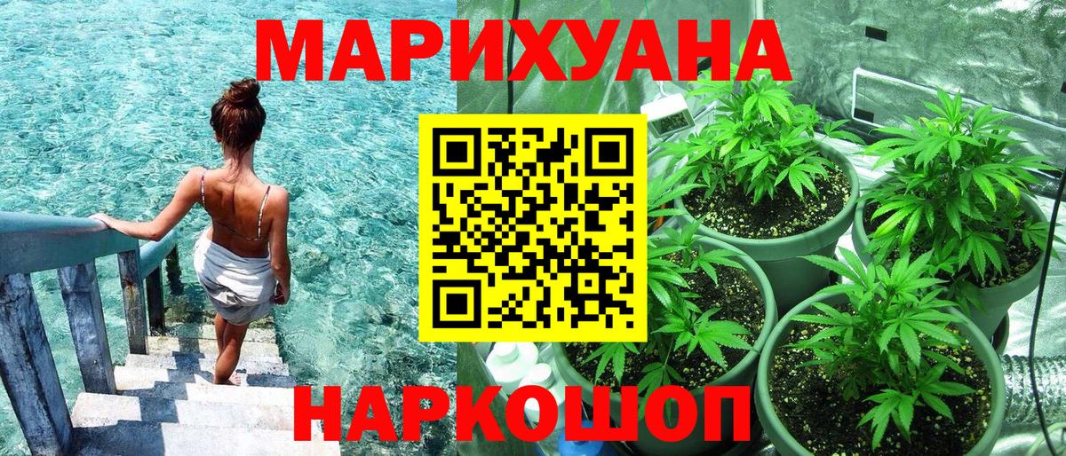 Канабис план Гусев